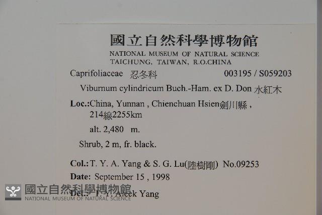 水紅木藏品圖，第2張