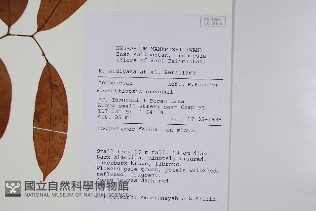 蟻花藏品圖，第2張