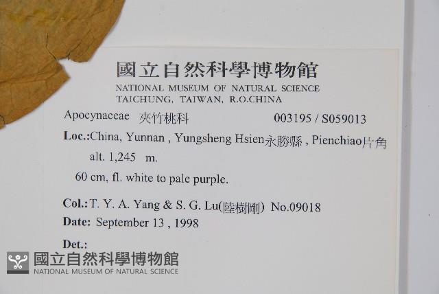 登錄號:S059013藏品圖，第2張