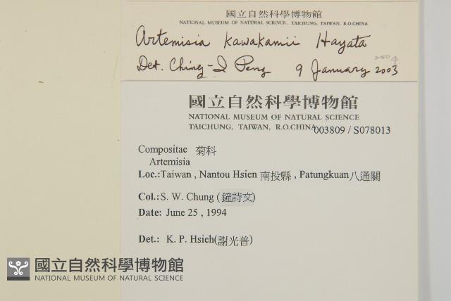 山艾藏品圖，第2張