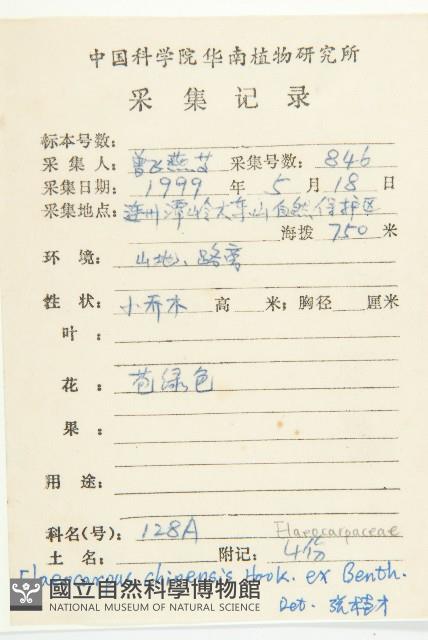 華杜英藏品圖，第2張