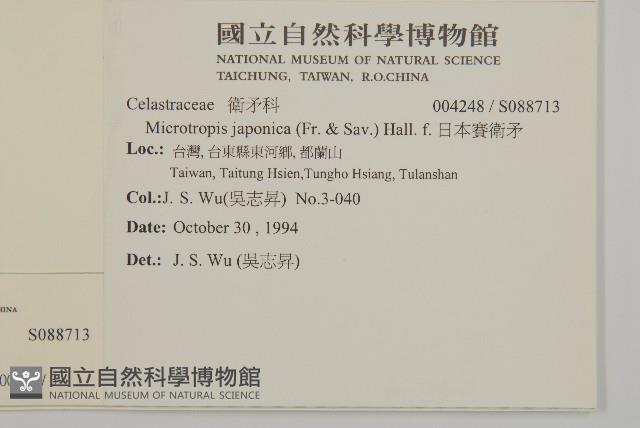 福建賽衛矛、福建假衛矛藏品圖，第2張