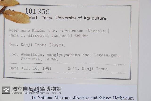 登錄號:S128213藏品圖，第2張