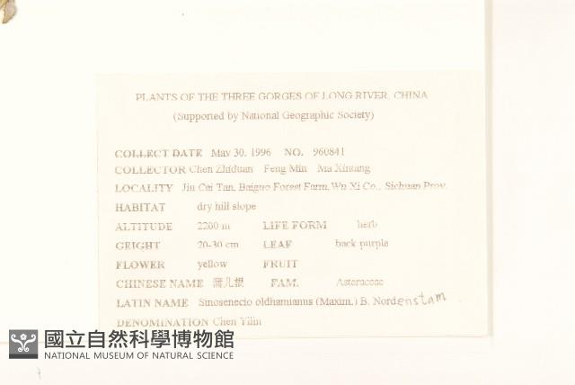 蒲儿根藏品圖，第2張