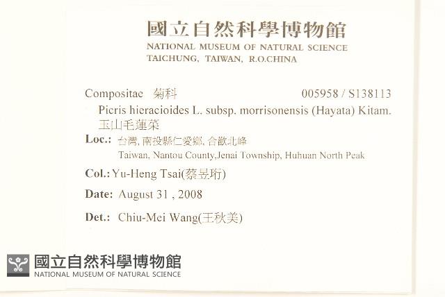 玉山毛蓮菜藏品圖，第2張