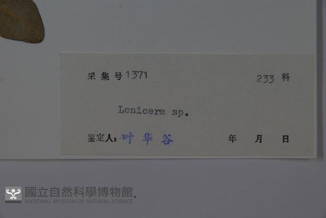 登錄號:S038113藏品圖，第2張