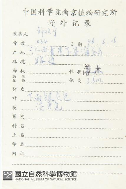 小葉胡頹子藏品圖，第2張