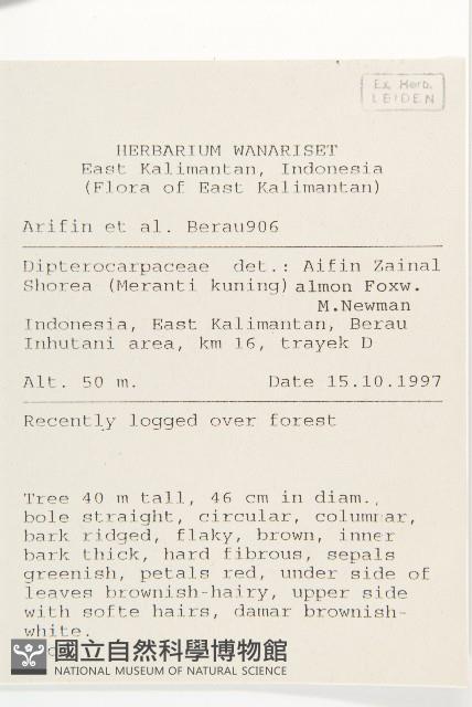 登錄號:S058813藏品圖，第2張