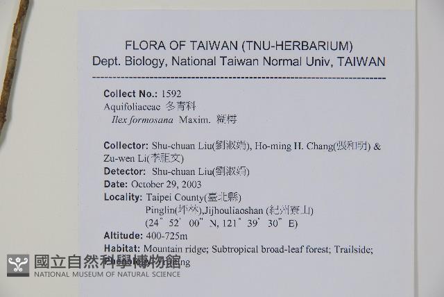 糊樗藏品圖，第2張