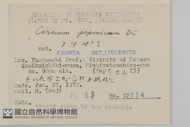 小薊藏品圖，第2張