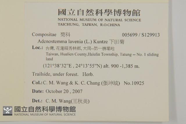 下田菊藏品圖，第2張