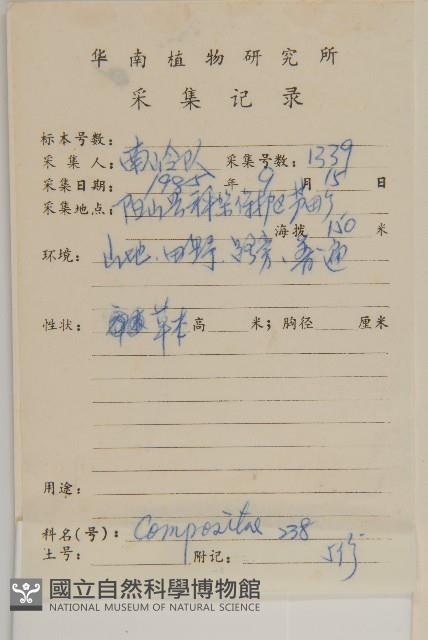 石胡荽、吐金草藏品圖，第2張