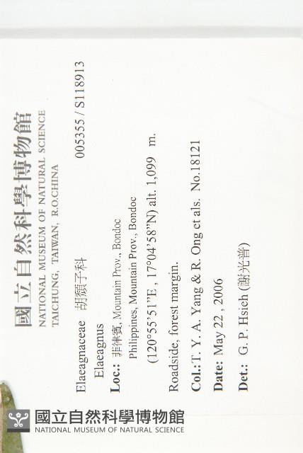 登錄號:S118913藏品圖，第2張