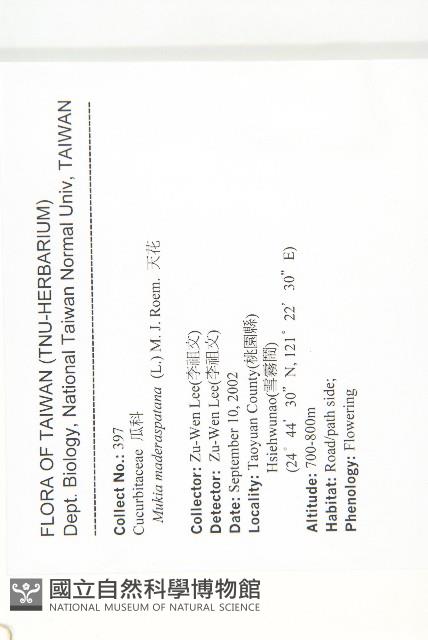 天花藏品圖，第2張