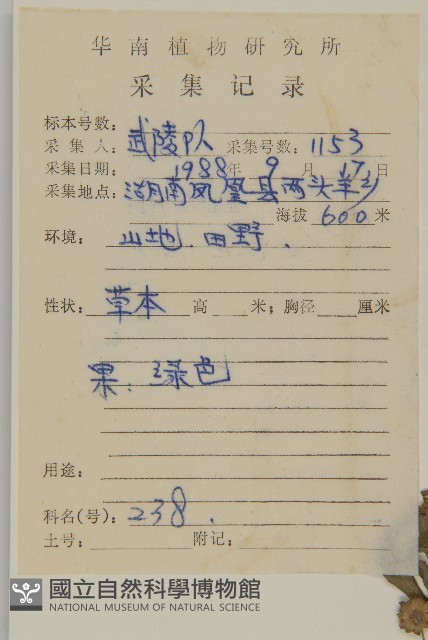 鱧腸藏品圖，第2張