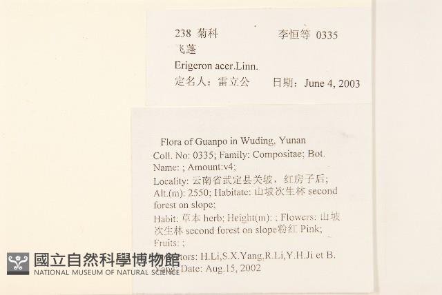 飛蓬藏品圖，第2張