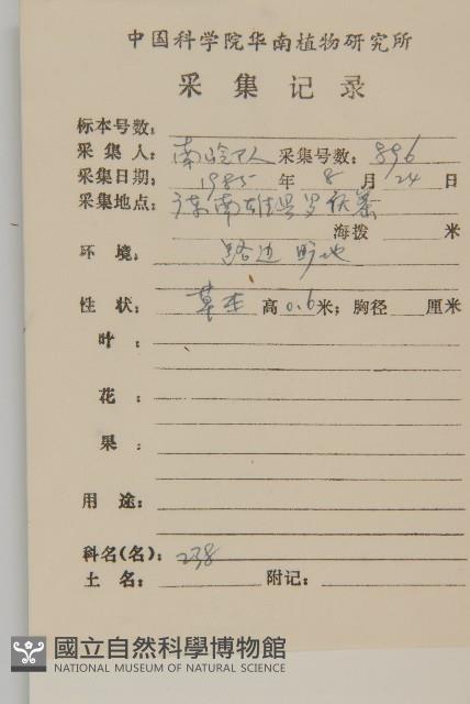 杓兒菜藏品圖，第2張