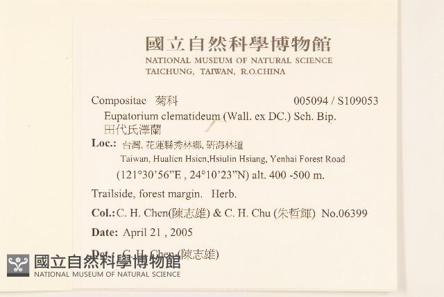 田代氏澤蘭藏品圖，第2張