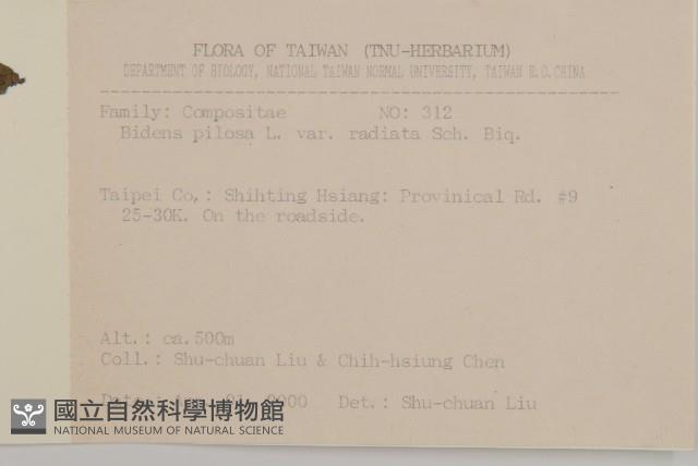 大花咸豐草藏品圖，第2張