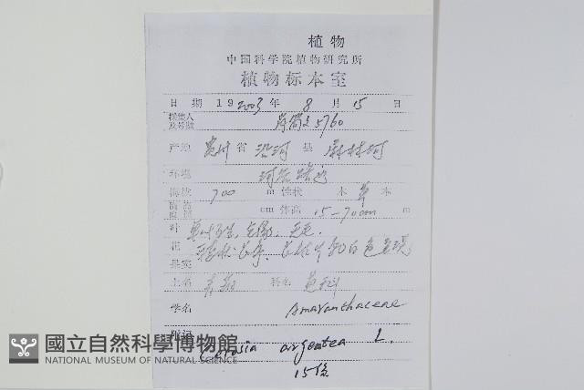 青葙藏品圖，第2張