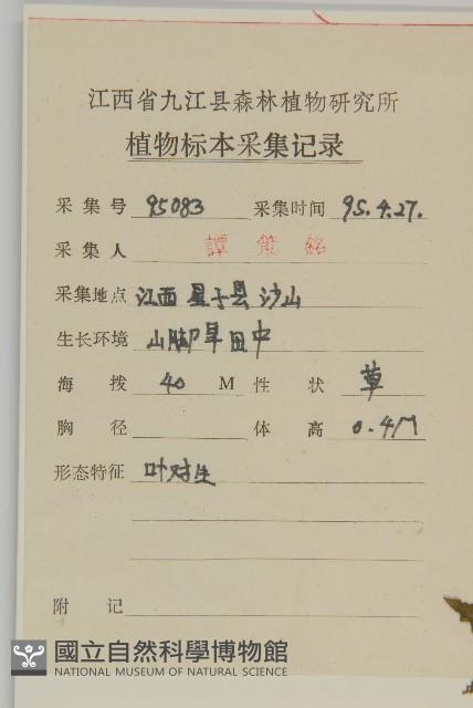 牛繁縷藏品圖，第2張