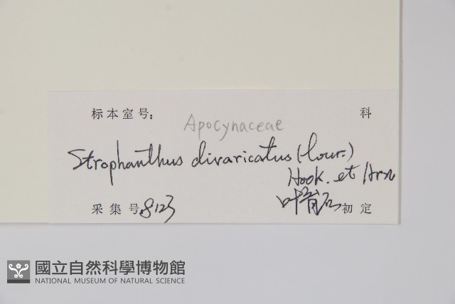 羊角扭藏品圖，第2張