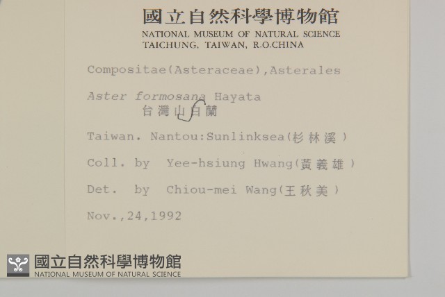 臺灣山白蘭藏品圖，第2張
