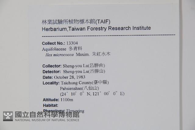 朱紅水木藏品圖，第2張