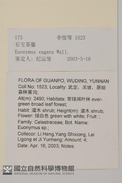 石寶茶藤藏品圖，第2張