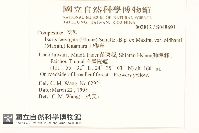 刀傷草藏品圖，第2張