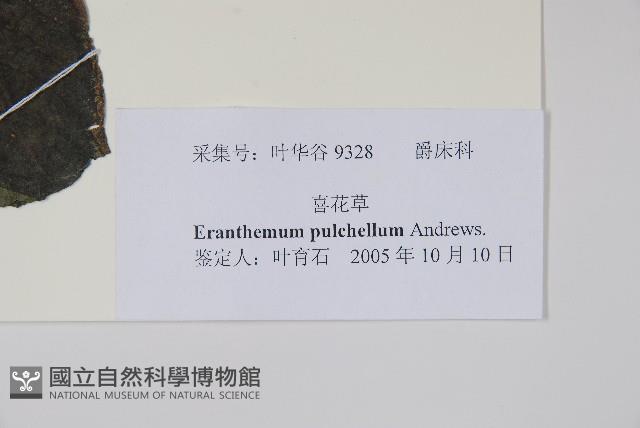 喜花草藏品圖，第2張