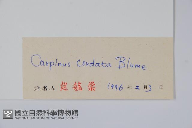 千金榆藏品圖，第2張