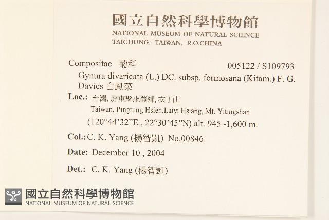 白鳳菜藏品圖，第2張