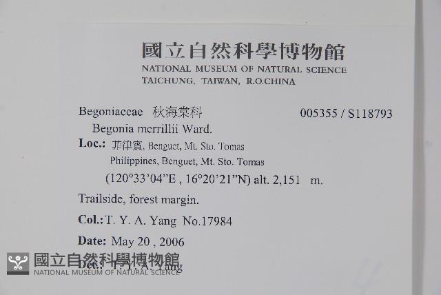 登錄號:S118793藏品圖，第2張