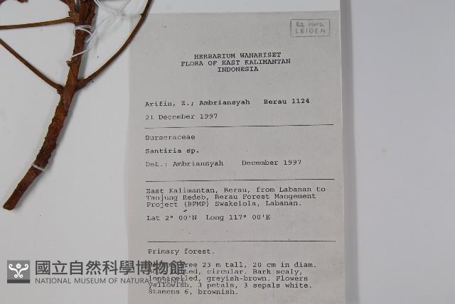 登錄號:S058793藏品圖，第2張