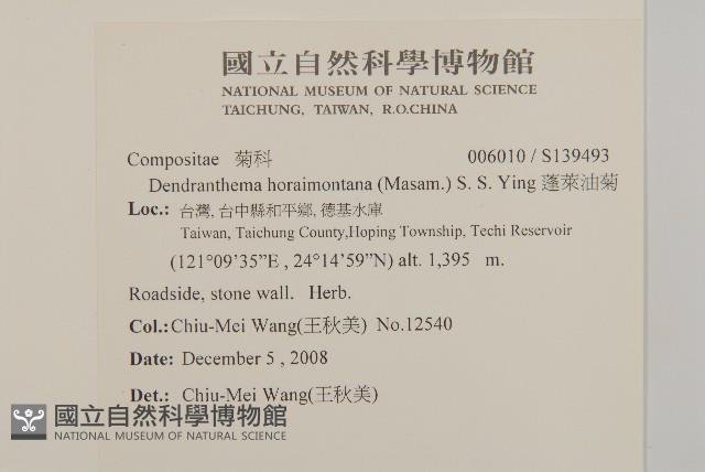 蓬萊油菊藏品圖，第2張