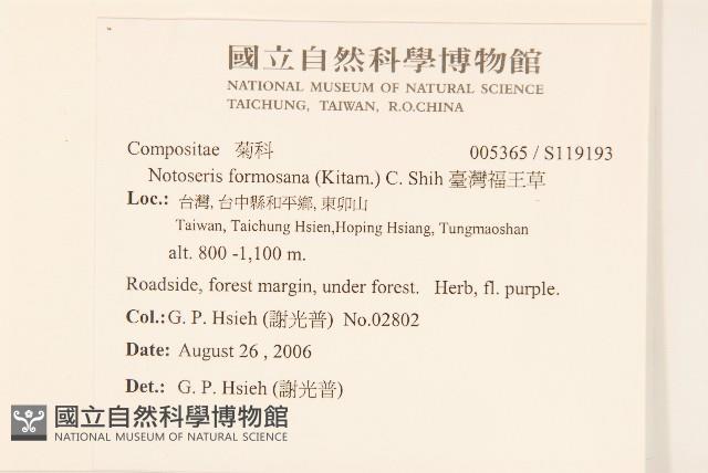 臺灣福王草藏品圖，第2張