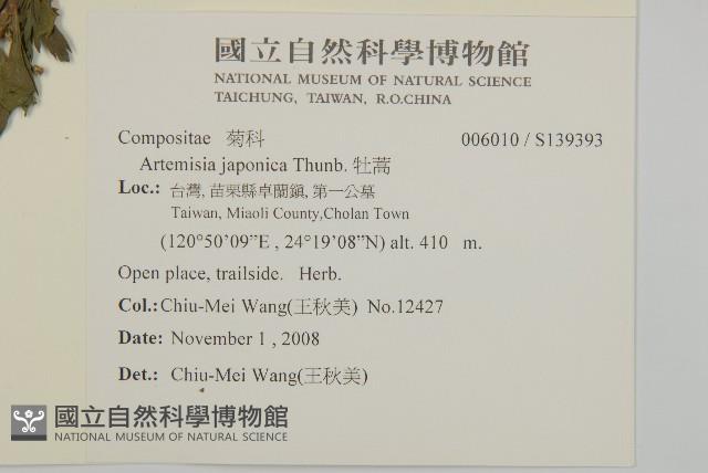 牡蒿藏品圖，第2張