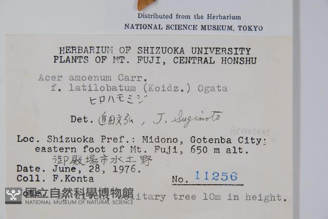 登錄號:S048893藏品圖，第2張