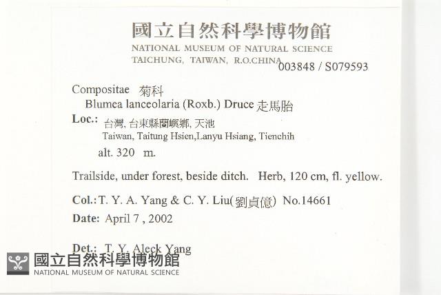 走馬胎藏品圖，第2張