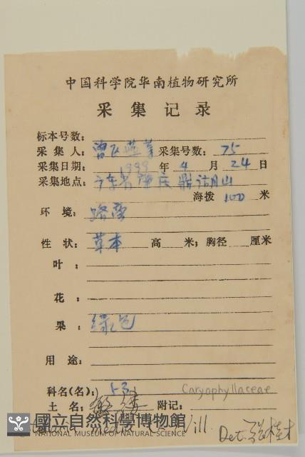 繁縷藏品圖，第2張