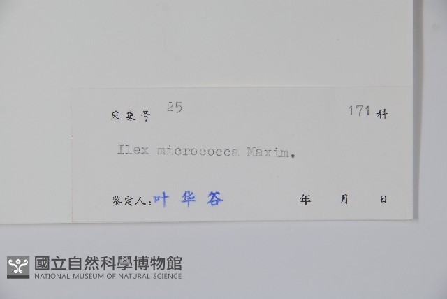 朱紅水木藏品圖，第2張