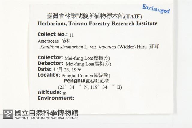 蒼耳藏品圖，第2張