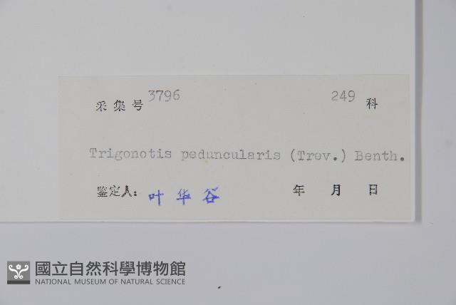 Accession Number:S038733 Collection Image, Figure 2, Total 2 Figures