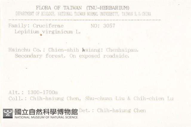 獨行菜藏品圖，第2張