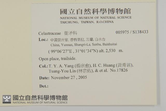 登錄號:S138433藏品圖，第2張