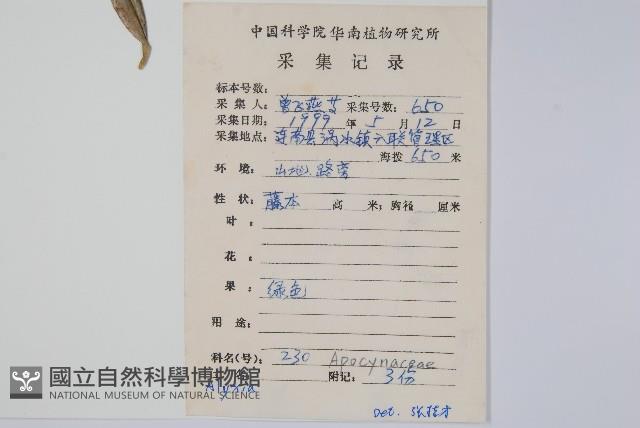 登錄號:S079133藏品圖，第2張