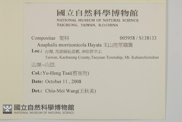 玉山抱莖籟簫藏品圖，第2張