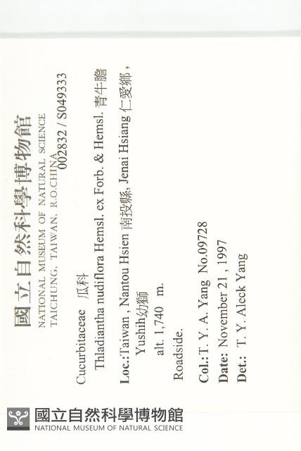 青牛膽藏品圖，第5張