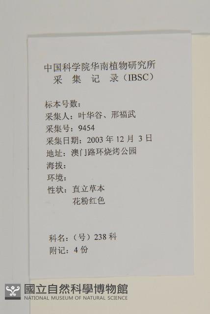 七里明艾納香藏品圖，第2張